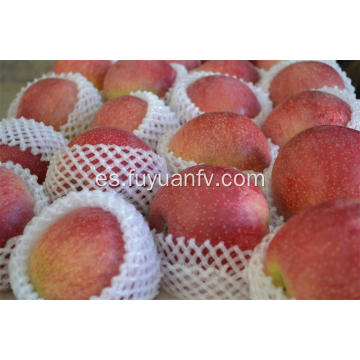 Fresh Delicious Good Quality Qinguan Apple